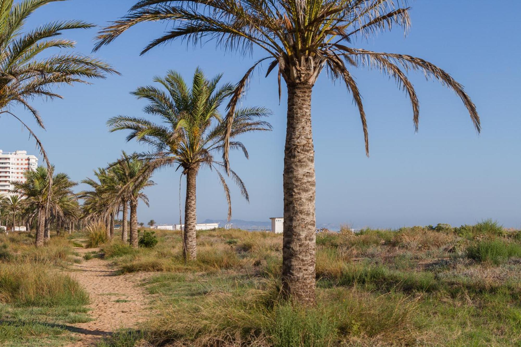 Villa Luny Playa Gandia Playa de Gandia Ngoại thất bức ảnh